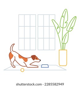 Perro doméstico en casa. El Purebred Jack russell terrier en la sala de estar - ventana, alfombra, plantas altas. Perro lúdico esperando comida en un interior acogedor. Ilustración de línea de estilo minimalista. trazos editables