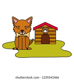 domestic dog with house and bone