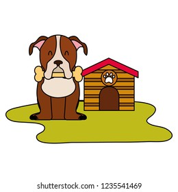 domestic dog with house and bone