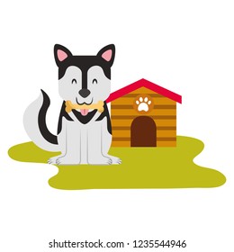 domestic dog with house and bone