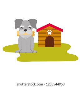 domestic dog with house and bone