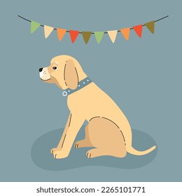 Domestic dog labrador sitting on a holiday, vector flat illustration.