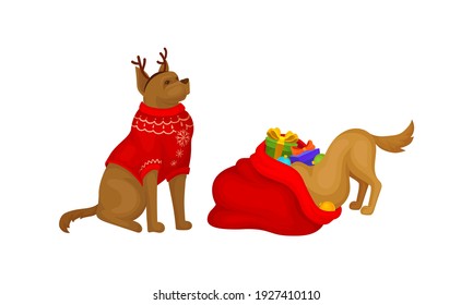 Domestic Dog Pet with Christmas Symbols Vector Set
