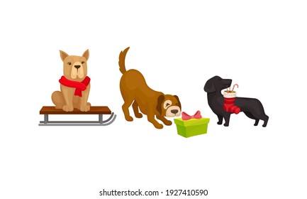 Domestic Dog Pet with Christmas Symbols Vector Set