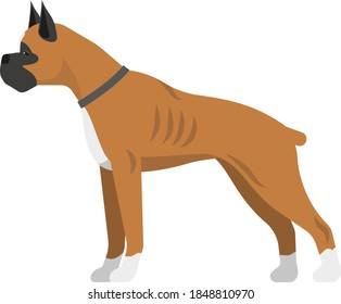 Domestic Dog realistic vector portrait