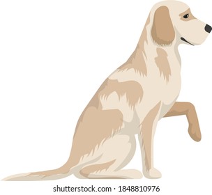 Domestic Dog realistic vector portrait