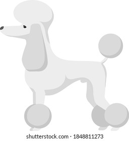 Domestic Dog realistic vector portrait