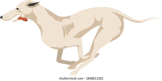 Domestic Dog realistic vector portrait