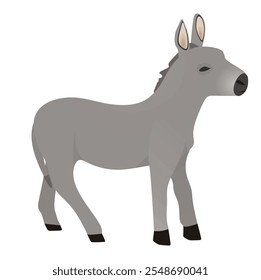 Ilustração de vetor de burro doméstico isolado.