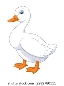 Domestic Duck Cartoon Vector Illustration
