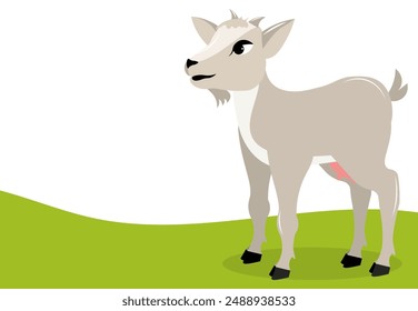 Domestic farm animal. Goat on the grass. Rural hills. Summer. 