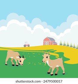 Domestic farm animal. Goats in the meadow. Landscape with a barn and a tractor. Rural hills. Scenery. Beautiful view. 