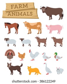 Domestic farm animals flat vector icons set. Colorful illustrations of large and small cattle, birds and pets. Farming  infographic elements. Cartoon educational clip art. Isolated on white