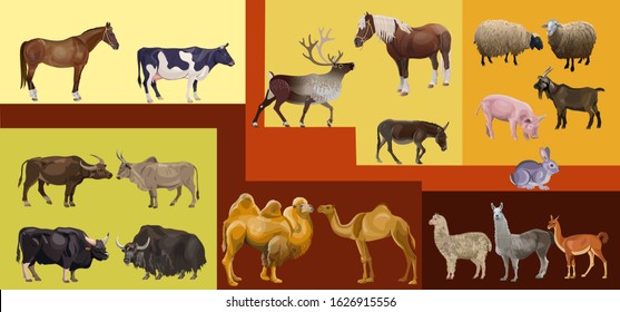 Domestic farm animals. Set of vector images on a colorful background