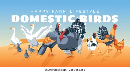 domestic farm birds in the meadow. Chicken, turkey, goose, rooster. Advertising of natural products of agriculture and agriculture. Horizontal flyer, poster. Vector illustration