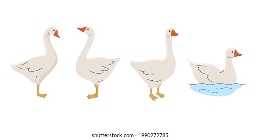 Domestic fowl. Cartoon vector illustration. Vector contour illustration of goose.