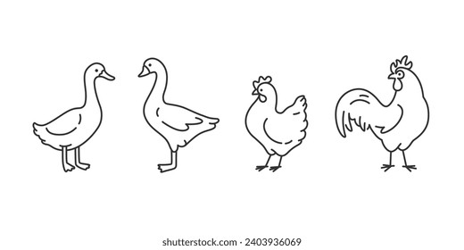 Domestic fowl. Cute animals icons set - duck, chick, goose, cock. Vector illustration with farm bird in cartoon style.