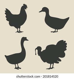 domestic fowl icon - vector illustration. eps 8