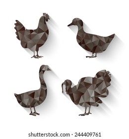 domestic fowl triangle symbol - vector illustration. eps 10