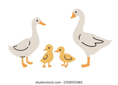 Domestic fowl. Vector contour illustration of goose, duck, and duckling. 