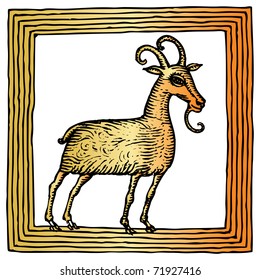 domestic goat gold framed drawing