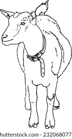 Domestic goat livestock animal agriculture doodle line cartoon coloring