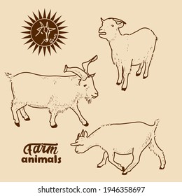 Domestic goats. Vector illustration in retro style of farm animals-goats in different poses.