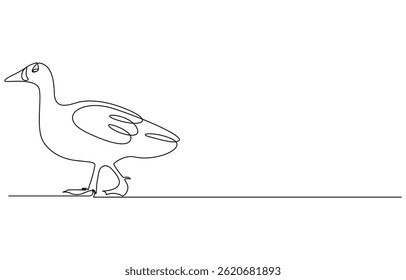 Domestic goose continuous one line drawing,Duck in continuous line art drawing style. Abstract duck walking minimalist
