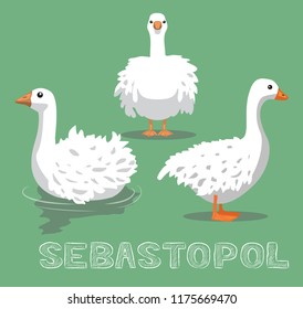 Domestic Goose Sebastopol Cartoon Vector Illustration