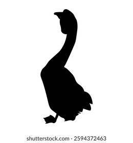 Domestic goose silhouette. Gander with dewlap and basal knob. Side view. Vector illustration isolated on white background