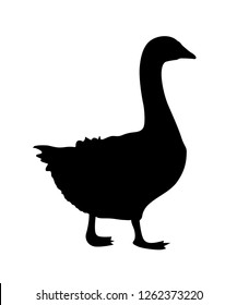 domestic goose silhouette vector illustration