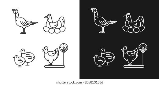 Domestic hens linear icons set for dark and light mode. Female birds. Turkey and chicken. Brood hen. Customizable thin line symbols. Isolated vector outline illustrations. Editable stroke