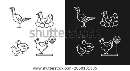 Domestic hens linear icons set for dark and light mode. Female birds. Turkey and chicken. Brood hen. Customizable thin line symbols. Isolated vector outline illustrations. Editable stroke