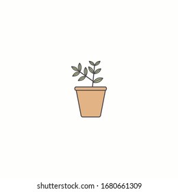 Domestic home Plant in flower Pot. Minimalistic floral Icon. Flower Shop Logo template. Cartoon style, simple flat design. Trendy Vector illustration. Isolated on a white background