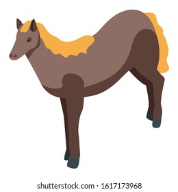 Domestic horse icon. Isometric of domestic horse vector icon for web design isolated on white background