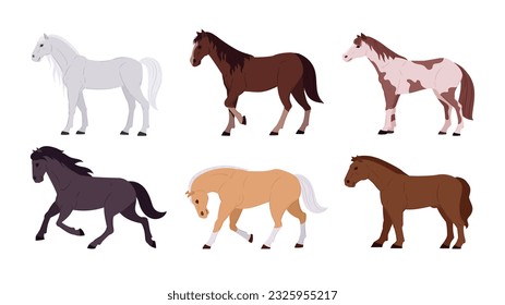 Domestic horses. Cartoon thoroughbred graceful farm or ranch animals flat vector illustration set. Horses collection