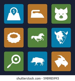 domestic icons set. Set of 9 domestic filled icons such as hog, pig, goat, horse, etc.