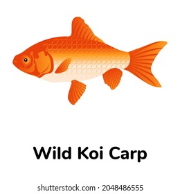 Domestic koi carp fish in flat icon