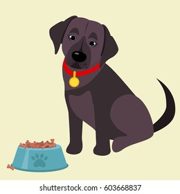 Domestic labrador retriever breed on the white background. Vector illustration