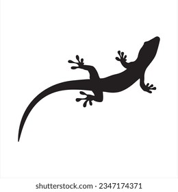 Domestic Lizard vector stock image