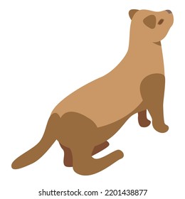 Domestic mink icon. Isometric of domestic mink vector icon for web design isolated on white background