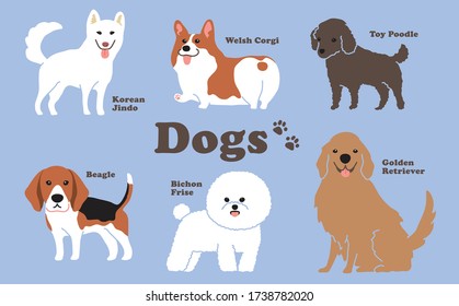 Domestic pet dogs and puppys including Korean Jindo, Welsh Corgi, Poodle, Beagle, Bichon Prise and Golden Retriever