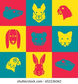 Domestic pets flat vector icon pack