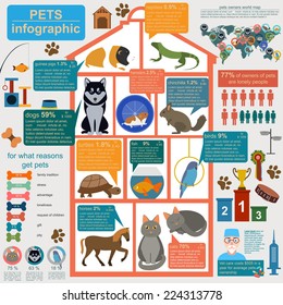 Domestic pets infographic elements, healthcare, vet. Vector illustration