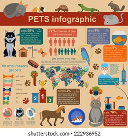 Domestic pets infographic elements, helthcare, vet. Vector illustration