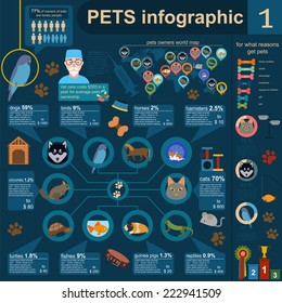Domestic pets infographic elements, helthcare, vet. Vector illustration