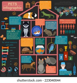 Domestic pets infographic elements, helthcare, vet. Vector illustration