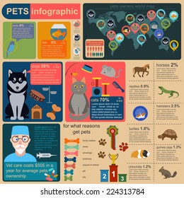 Domestic pets infographic elements, helthcare, vet. Vector illustration