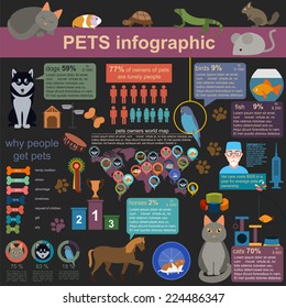 Domestic pets infographic elements, helthcare, vet. Vector illustration