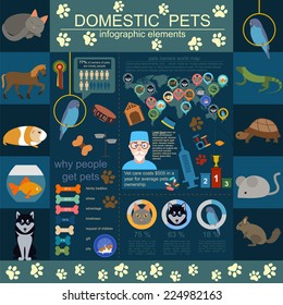 Domestic pets infographic elements, helthcare, vet. Vector illustration